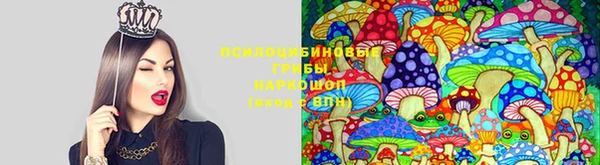 прущая мука Алзамай