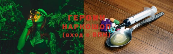 хмурый Аркадак