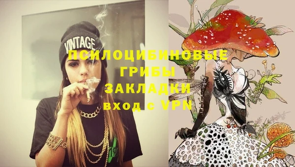 PSILOCYBIN Армянск
